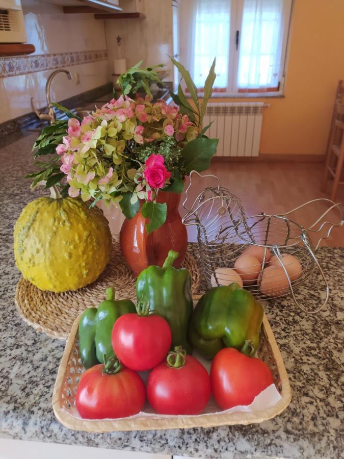 Apartamentos Casa Alvarina - Luarca Cortina Esterno foto